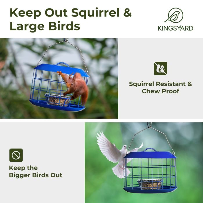 Kingsyard Metal Caged Squirrel Proof Bluebird Feeders 5 Kingsyard Metal Caged Squirrel Proof Bluebird Feeders 5
