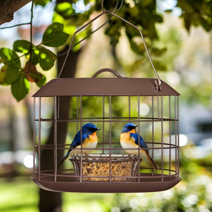 Brown Kingsyard Metal Caged Squirrel Proof Bluebird Feeders 1 Brown Kingsyard Metal Caged Squirrel Proof Bluebird Feeders 1