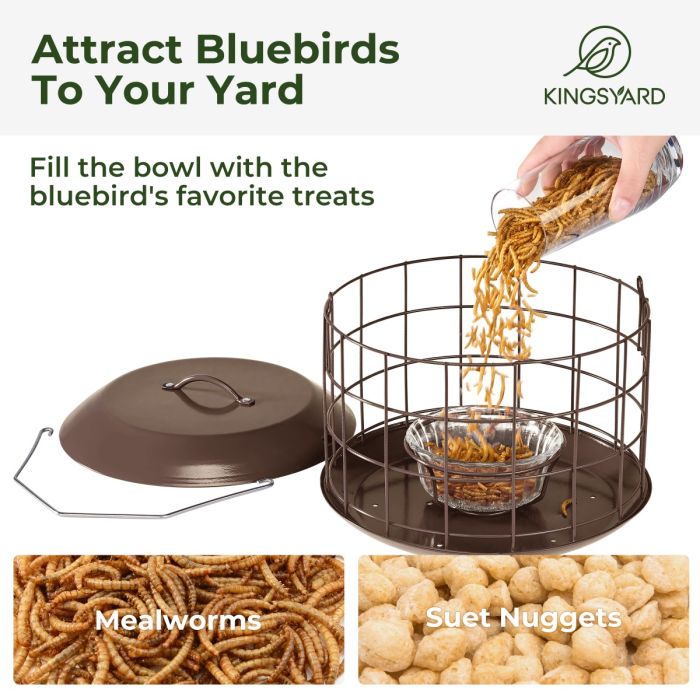 Brown Kingsyard Metal Caged Squirrel Proof Bluebird Feeders 4 Brown Kingsyard Metal Caged Squirrel Proof Bluebird Feeders 4
