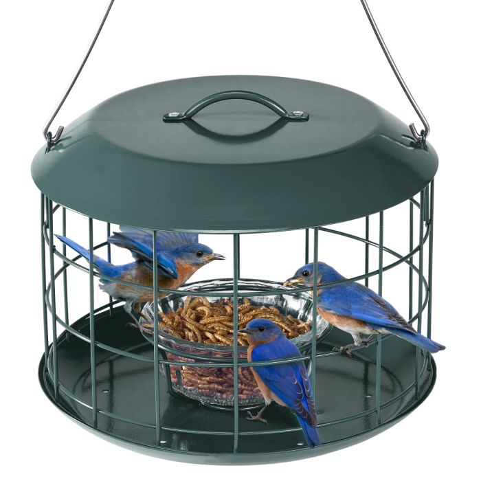 Dark Green Kingsyard Metal Caged Squirrel Proof Bluebird Feeders 2 Dark Green Kingsyard Metal Caged Squirrel Proof Bluebird Feeders 2