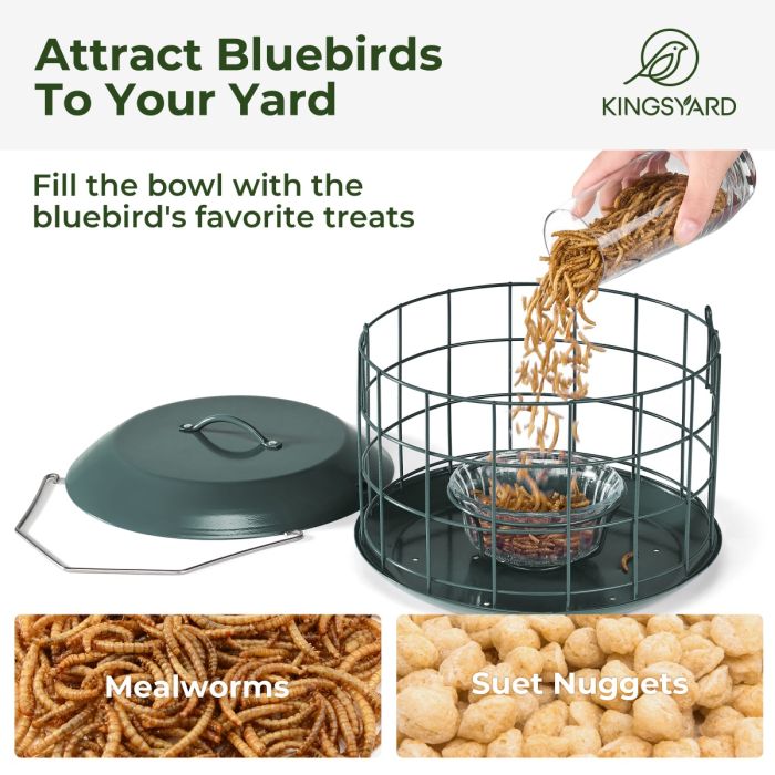 Dark Green Kingsyard Metal Caged Squirrel Proof Bluebird Feeders 4 Dark Green Kingsyard Metal Caged Squirrel Proof Bluebird Feeders 4