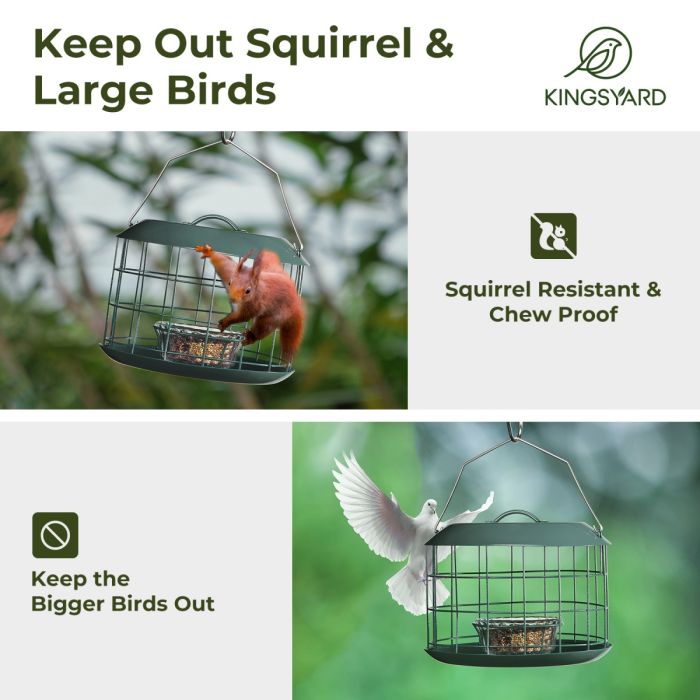 Dark Green Kingsyard Metal Caged Squirrel Proof Bluebird Feeders 5 Dark Green Kingsyard Metal Caged Squirrel Proof Bluebird Feeders 5
