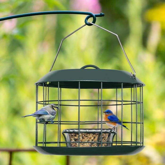 Dark Green Kingsyard Metal Caged Squirrel Proof Bluebird Feeders 1 Dark Green Kingsyard Metal Caged Squirrel Proof Bluebird Feeders 1