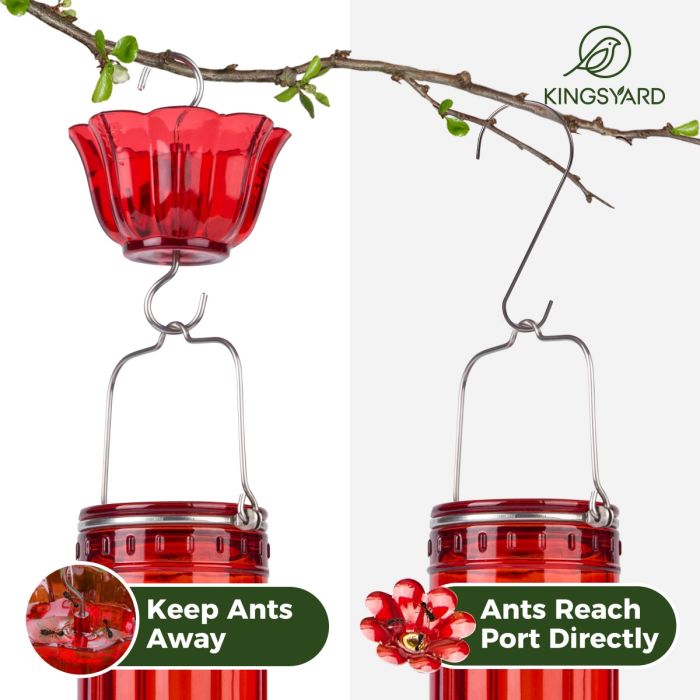 Kingsyard 2-Pack Ant Moat for Hummingbird Feeders 6