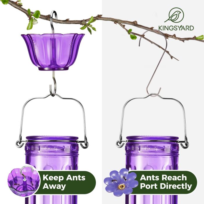 Purple Kingsyard 2-Pack Ant Moat for Hummingbird Feeders 6 Purple Kingsyard 2-Pack Ant Moat for Hummingbird Feeders 6