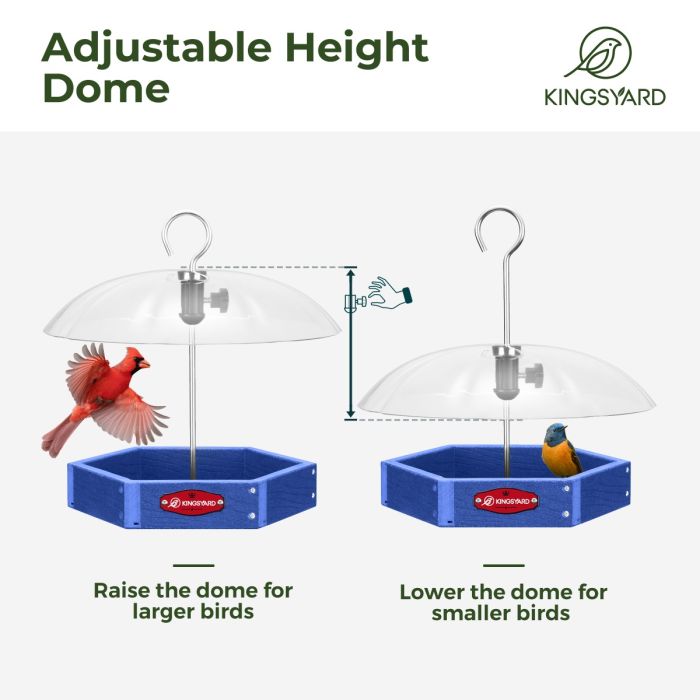 Blue Kingsyard Recycled Plastic Platform Bird Feeder with Adjustable Dome 4 Blue Kingsyard Recycled Plastic Platform Bird Feeder with Adjustable Dome 4