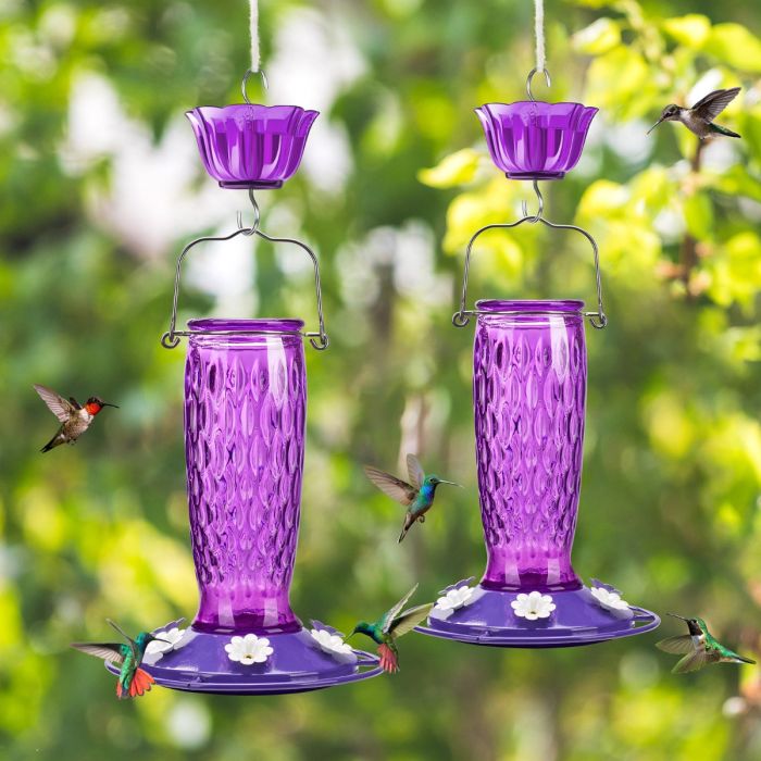 Purple Kingsyard 24oz Glass Hummingbird Feeder with Ant Moat 1 Purple Kingsyard 24oz Glass Hummingbird Feeder with Ant Moat 1