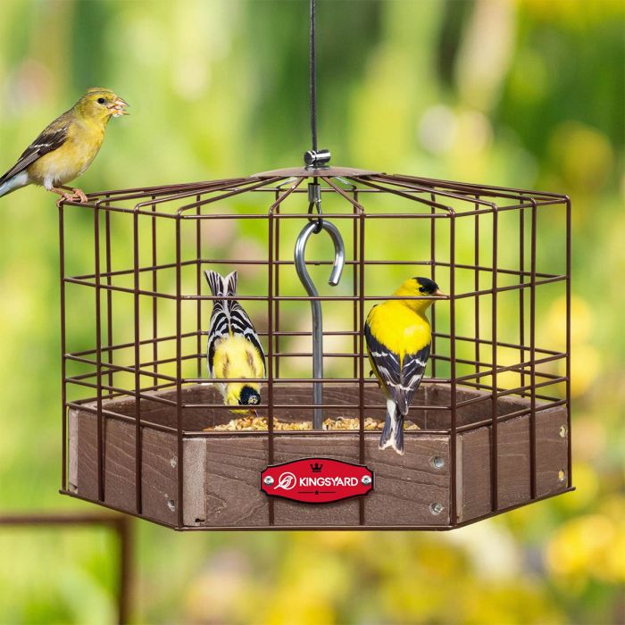 Brown Kingsyard Squirrel-Proof Platform Hanging Bird Feeder 1