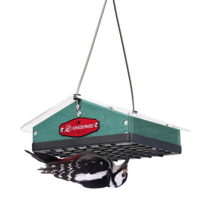 Kingsyard Upside Down Squirrel Proof Suet Feeder 2 Kingsyard Upside Down Squirrel Proof Suet Feeder 2