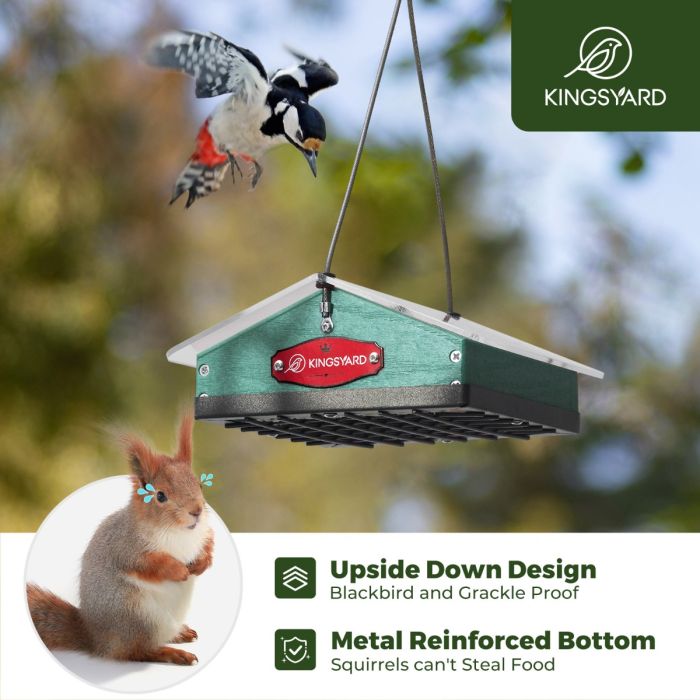 Kingsyard Upside Down Squirrel Proof Suet Feeder 6 Kingsyard Upside Down Squirrel Proof Suet Feeder 6