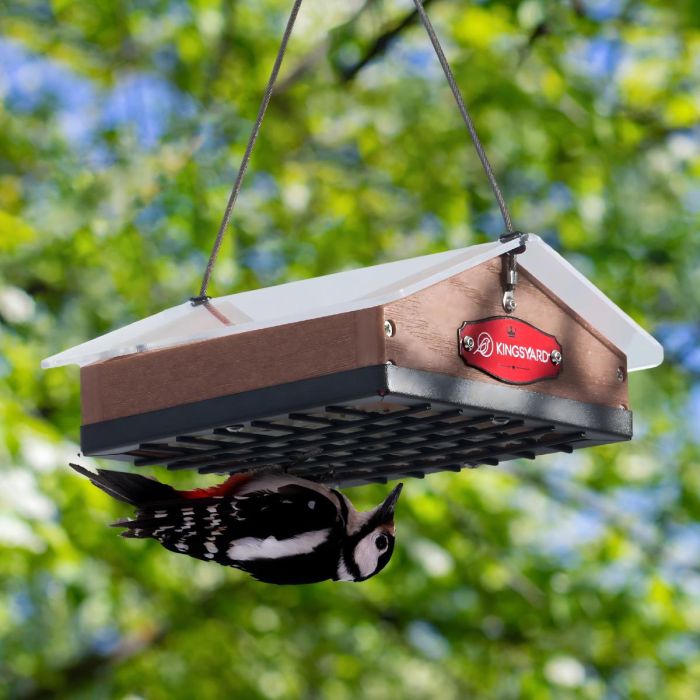 Brown Kingsyard Upside Down Squirrel Proof Suet Feeder 1 Brown Kingsyard Upside Down Squirrel Proof Suet Feeder 1