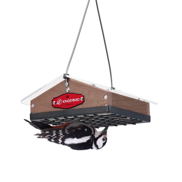 Brown Kingsyard Upside Down Squirrel Proof Suet Feeder 2 Brown Kingsyard Upside Down Squirrel Proof Suet Feeder 2