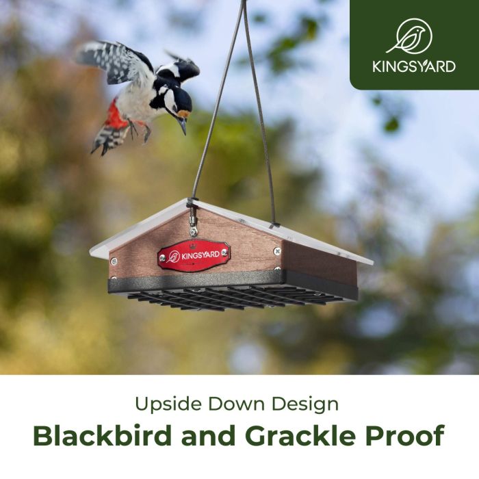 Brown Kingsyard Upside Down Squirrel Proof Suet Feeder 5 Brown Kingsyard Upside Down Squirrel Proof Suet Feeder 5