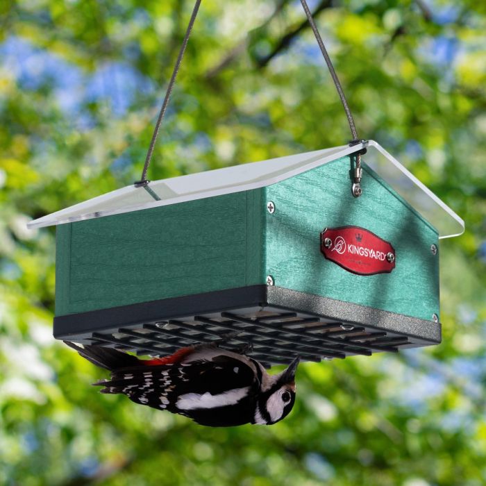 Kingsyard Upside Down Squirrel Proof Double Suet Feeder 1