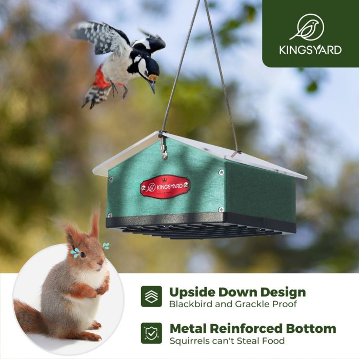 Kingsyard Upside Down Squirrel Proof Double Suet Feeder 6