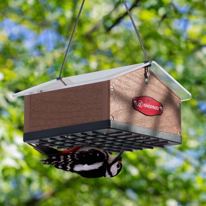 Brown Kingsyard Upside Down Squirrel Proof Double Suet Feeder 1 Brown Kingsyard Upside Down Squirrel Proof Double Suet Feeder 1