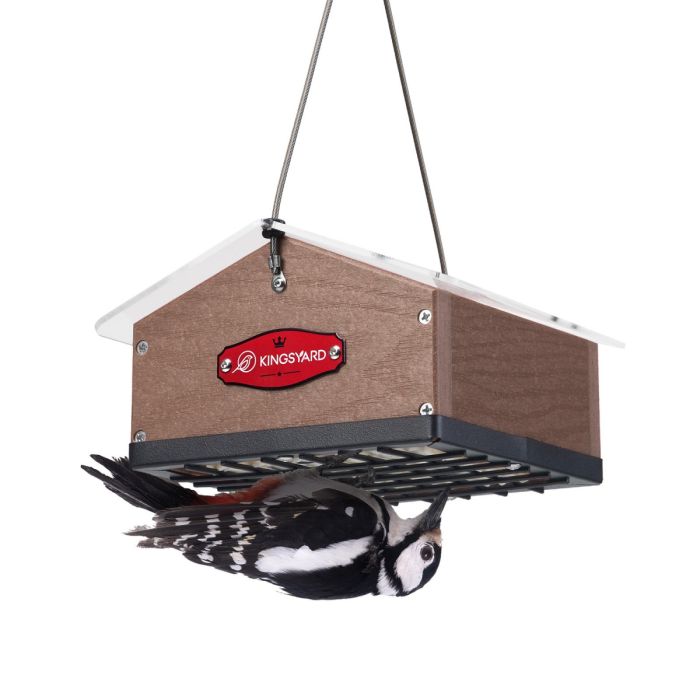 Brown Kingsyard Upside Down Squirrel Proof Double Suet Feeder 2 Brown Kingsyard Upside Down Squirrel Proof Double Suet Feeder 2