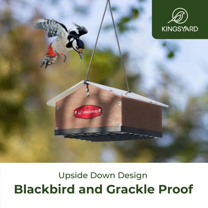 Brown Kingsyard Upside Down Squirrel Proof Double Suet Feeder 5 Brown Kingsyard Upside Down Squirrel Proof Double Suet Feeder 5