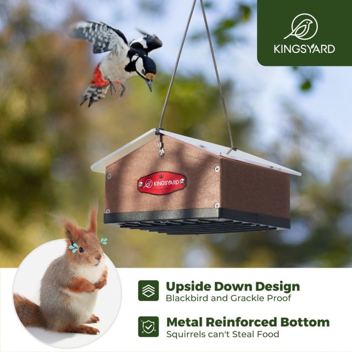 Brown Kingsyard Upside Down Squirrel Proof Double Suet Feeder 6 Brown Kingsyard Upside Down Squirrel Proof Double Suet Feeder 6