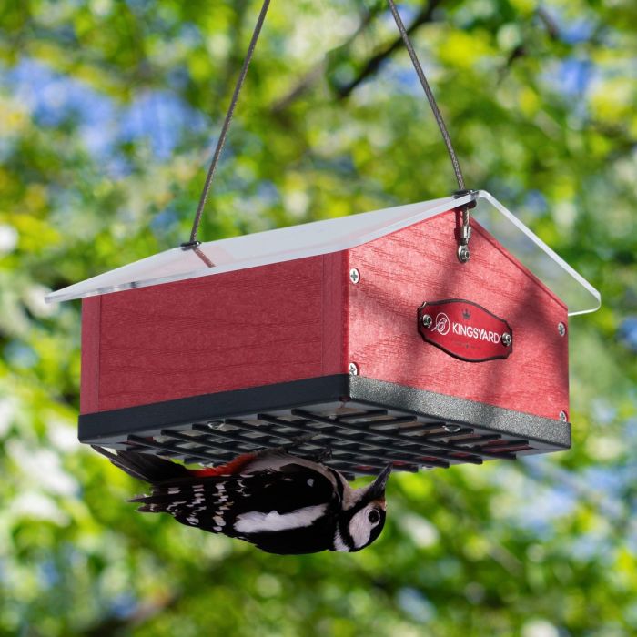 Red Kingsyard Upside Down Squirrel Proof Double Suet Feeder 1 Red Kingsyard Upside Down Squirrel Proof Double Suet Feeder 1