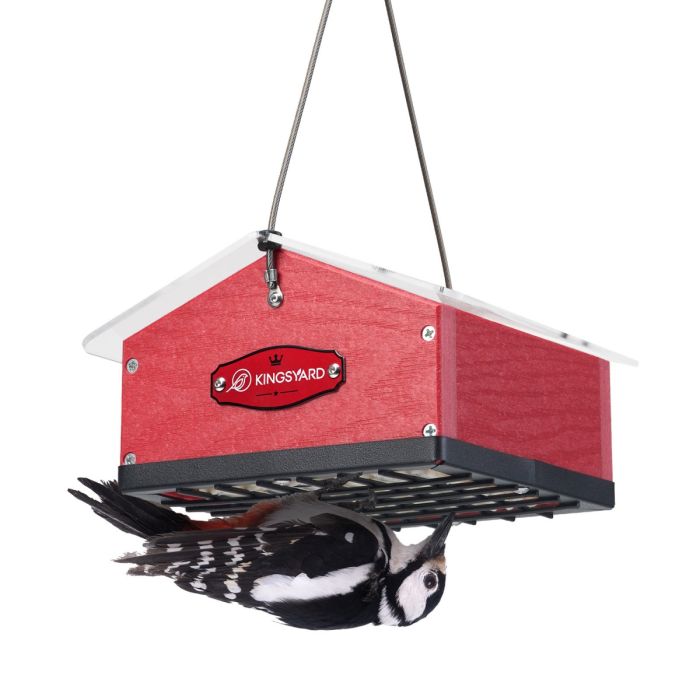 Red Kingsyard Upside Down Squirrel Proof Double Suet Feeder 2 Red Kingsyard Upside Down Squirrel Proof Double Suet Feeder 2
