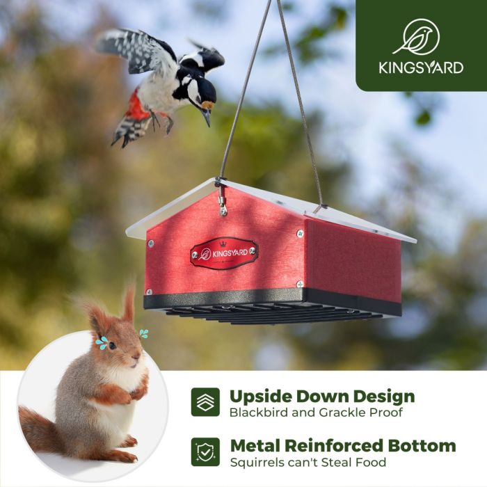 Red Kingsyard Upside Down Squirrel Proof Double Suet Feeder 6 Red Kingsyard Upside Down Squirrel Proof Double Suet Feeder 6