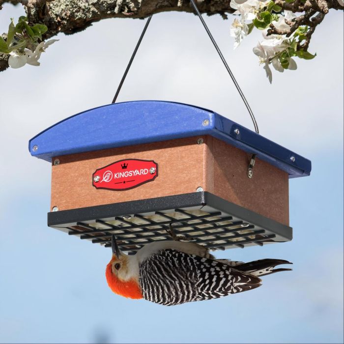 Blue Kingsyard Recycled Plastic Upside Down Double Suet Feeder 1