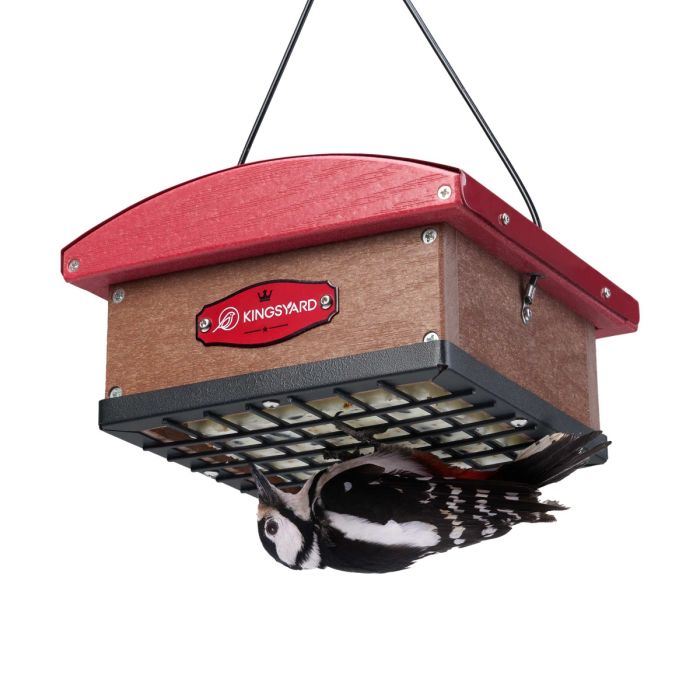 Red Kingsyard Recycled Plastic Upside Down Double Suet Feeder 2 Red Kingsyard Recycled Plastic Upside Down Double Suet Feeder 2