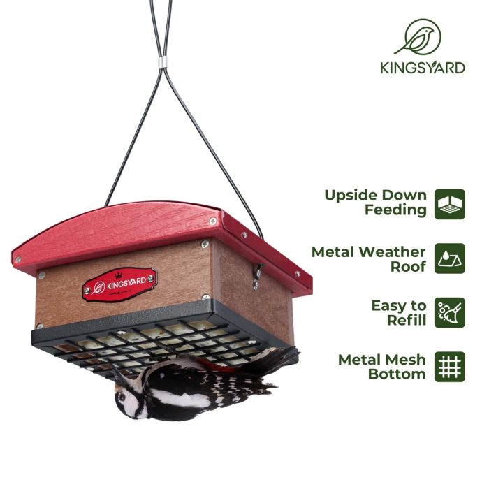 Red Kingsyard Recycled Plastic Upside Down Double Suet Feeder 5 Red Kingsyard Recycled Plastic Upside Down Double Suet Feeder 5