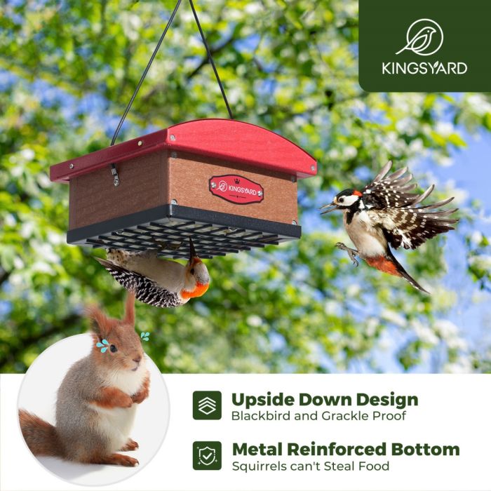 Red Kingsyard Recycled Plastic Upside Down Double Suet Feeder 7 Red Kingsyard Recycled Plastic Upside Down Double Suet Feeder 7