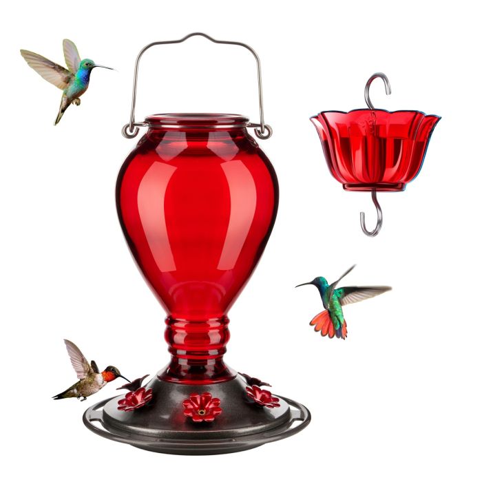 Red Kingsyard 24oz Leak Proof Glass Hummingbird Feeder with Ant Moat 2 Red Kingsyard 24oz Leak Proof Glass Hummingbird Feeder with Ant Moat 2