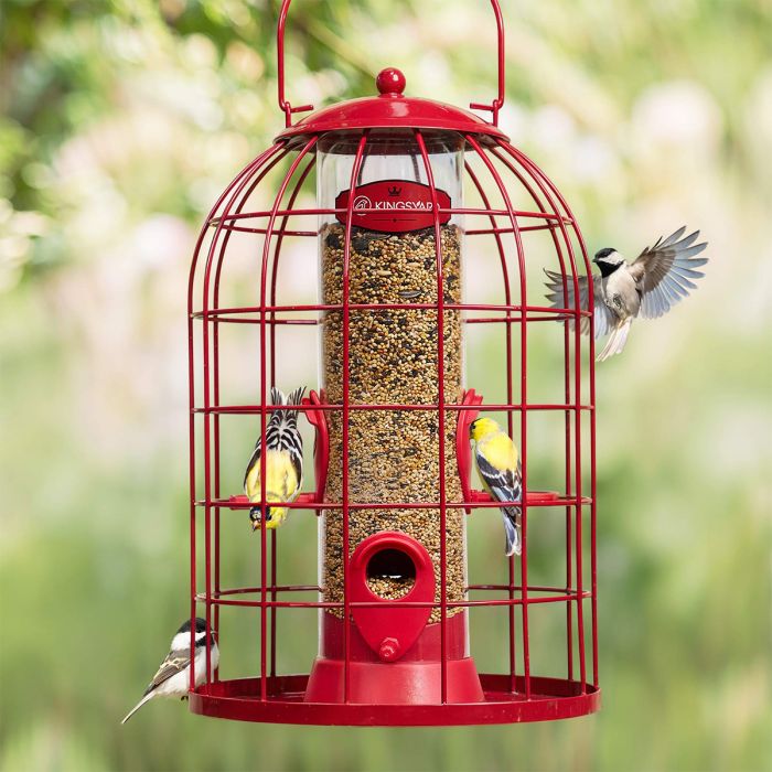 Red Kingsyard Caged Squirrel Proof Tube Feeder with Rainproof Design 1