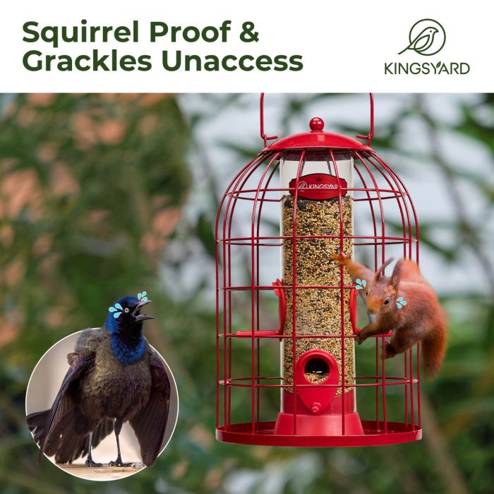 Red Kingsyard Caged Squirrel Proof Tube Feeder with Rainproof Design 6
