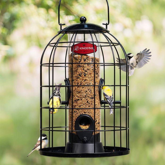 Black Kingsyard Caged Squirrel Proof Tube Feeder with Rainproof Design 1 Black Kingsyard Caged Squirrel Proof Tube Feeder with Rainproof Design 1
