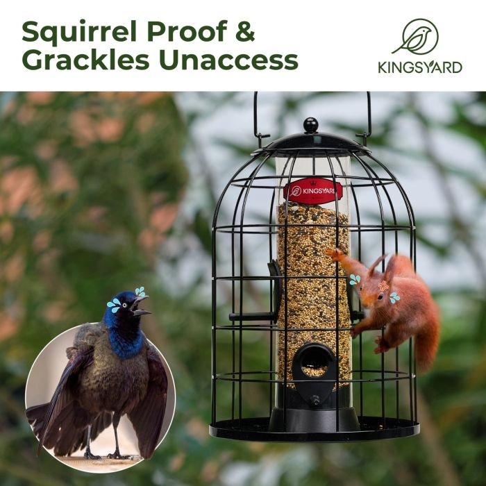Black Kingsyard Caged Squirrel Proof Tube Feeder with Rainproof Design 6 Black Kingsyard Caged Squirrel Proof Tube Feeder with Rainproof Design 6