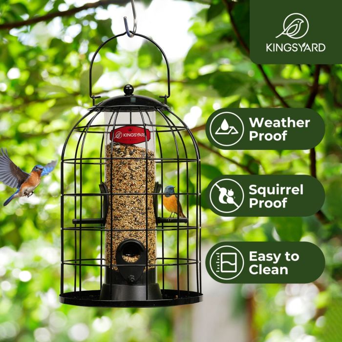 Black Kingsyard Caged Squirrel Proof Tube Feeder with Rainproof Design 8 Black Kingsyard Caged Squirrel Proof Tube Feeder with Rainproof Design 8