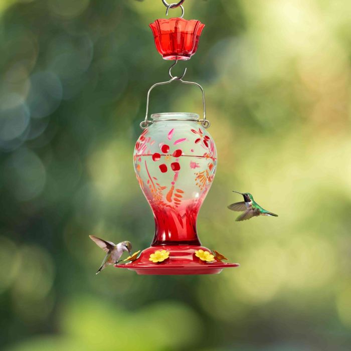 Red Kingsyard 26oz Leak Proof Glass Hummingbird Feeders with Ant Moat 1