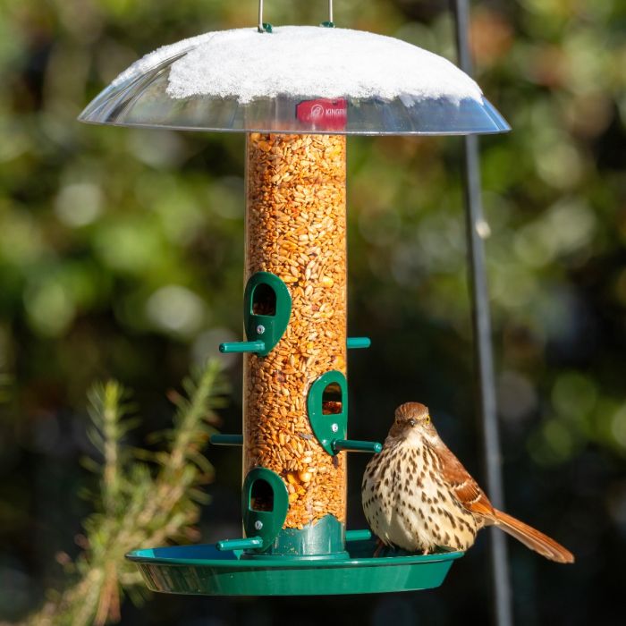 Kingsyard Weatherproof Metal Tube Feeder with Dome 1 Kingsyard Weatherproof Metal Tube Feeder with Dome 1