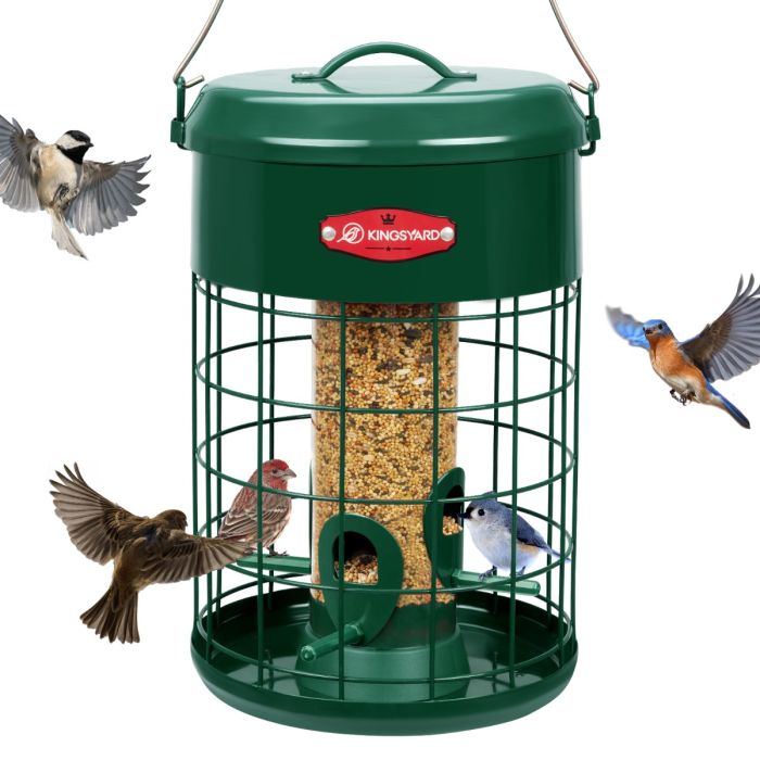 Kingsyard Caged Squirrel Proof Tube Feeder with Weatherproof Design 2 Kingsyard Caged Squirrel Proof Tube Feeder with Weatherproof Design 2