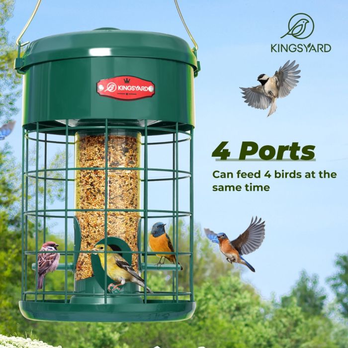 Kingsyard Caged Squirrel Proof Tube Feeder with Weatherproof Design 7 Kingsyard Caged Squirrel Proof Tube Feeder with Weatherproof Design 7