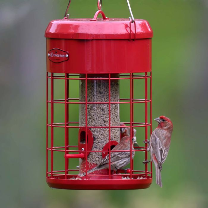 Red Kingsyard Caged Squirrel Proof Tube Feeder with Weatherproof Design 1