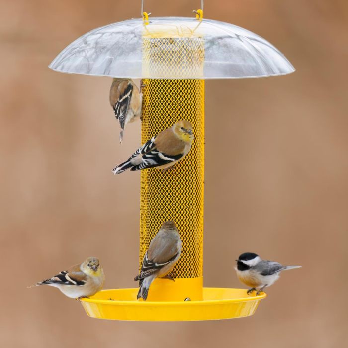 Kingsyard Finch Feeder with Weather Dome & Seed Tray 1