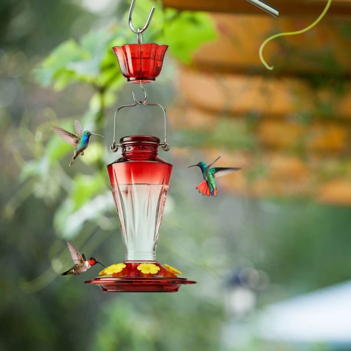 Clear & Red Kingsyard 16oz Glass Hummingbird Feeder with Ant & Bee Proof 1