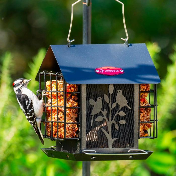 Black Kingsyard Double Suet Hopper Bird Feeder With Rainproof Roof 1 Black Kingsyard Double Suet Hopper Bird Feeder With Rainproof Roof 1