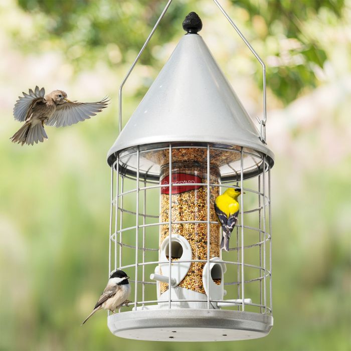 Silver Kingsyard Caged Squirrel Proof Tube Bird Feeder with Rainproof Dome 1 Silver Kingsyard Caged Squirrel Proof Tube Bird Feeder with Rainproof Dome 1