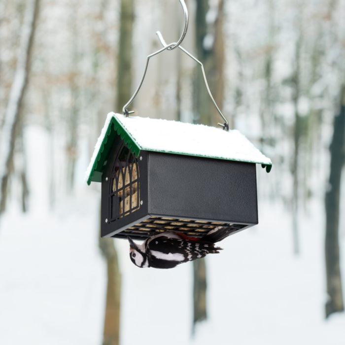 Green Kingsyard Metal Upside Down Double Suet Bird Feeder 1 Green Kingsyard Metal Upside Down Double Suet Bird Feeder 1