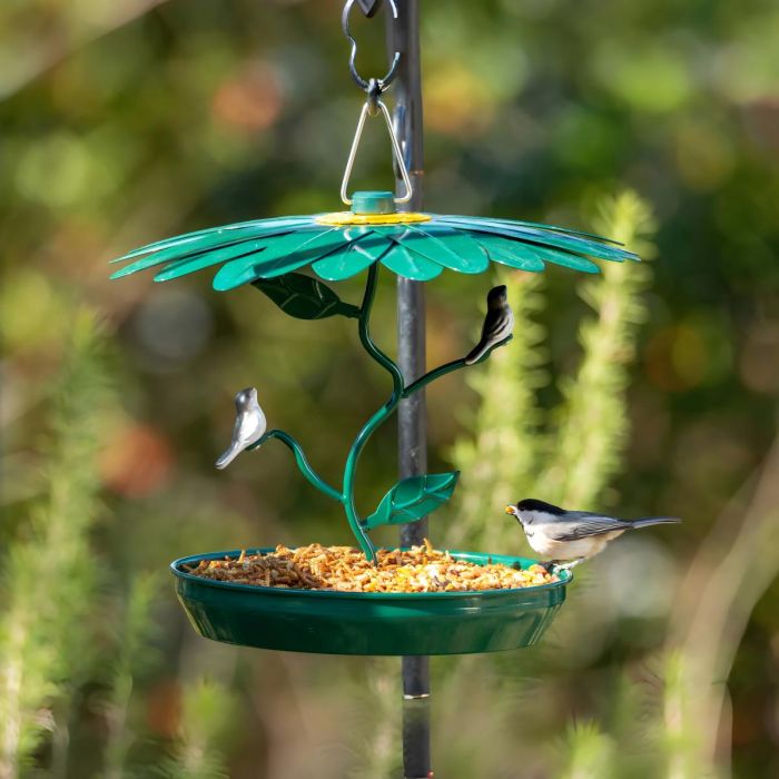 Kingsyard Platform Bird Feeder with Weatherproof Dome 1 Kingsyard Platform Bird Feeder with Weatherproof Dome 1