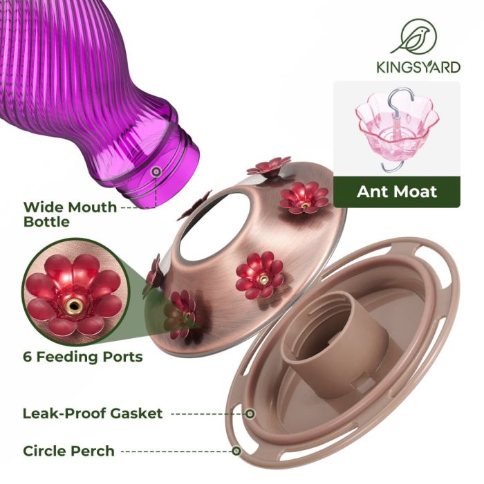 Kingsyard 18oz Bee & Ant Proof Glass Hummingbird Feeders 4