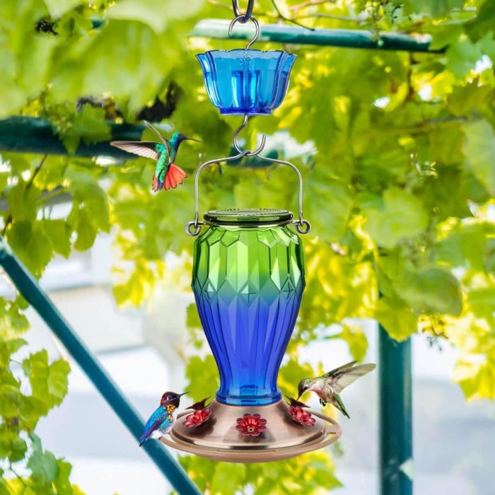 Kingsyard 20oz Bee & Ant Proof Glass Hummingbird Feeders 1