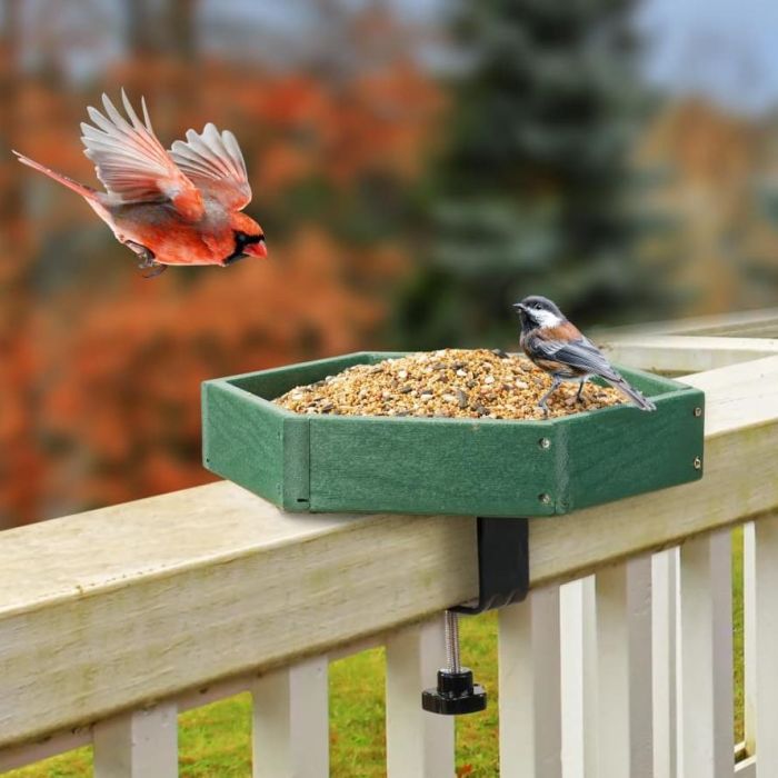Kingsyard Platform Bird Feeder with Freestanding Tray 1